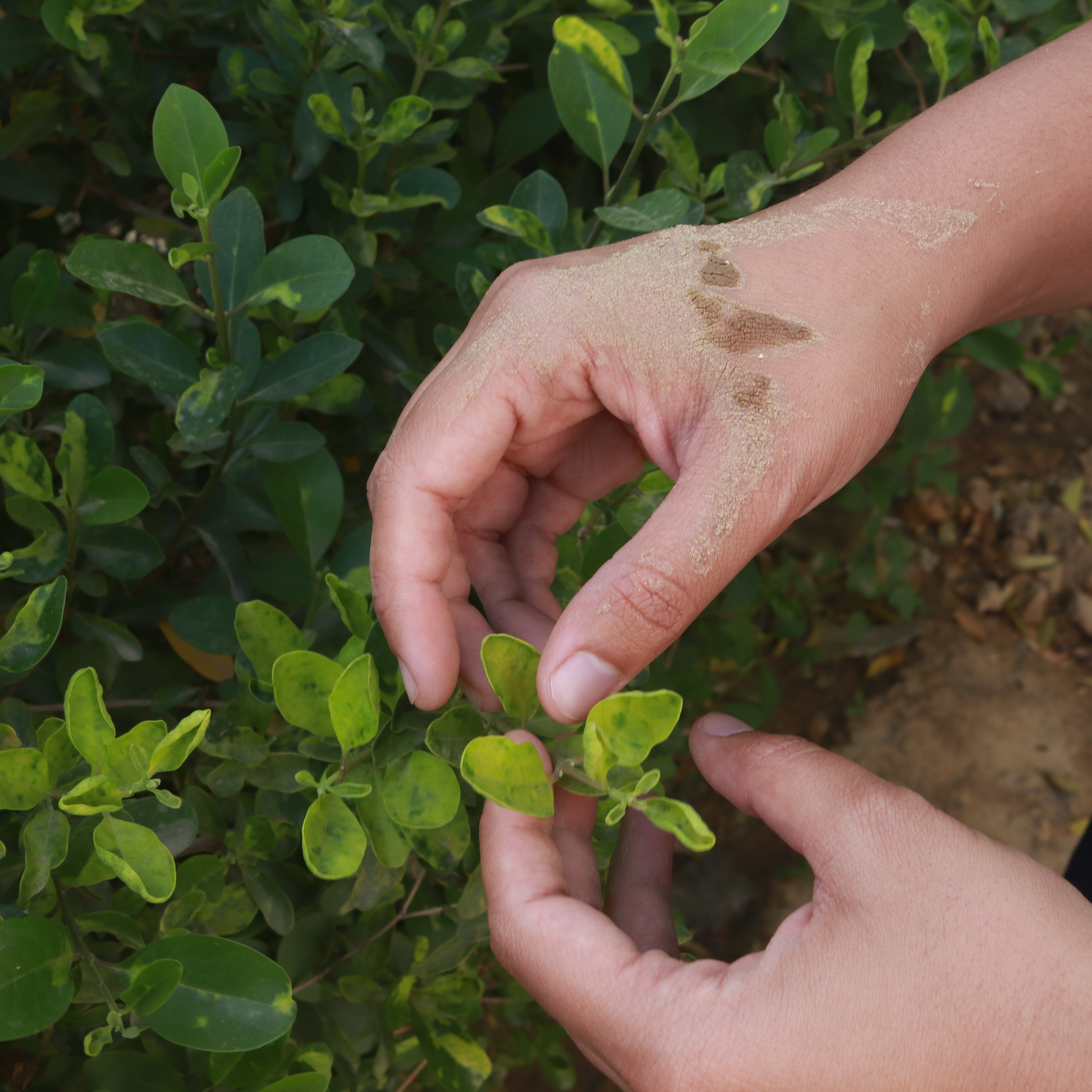 5 Gardening Tips you should know before you start planting!