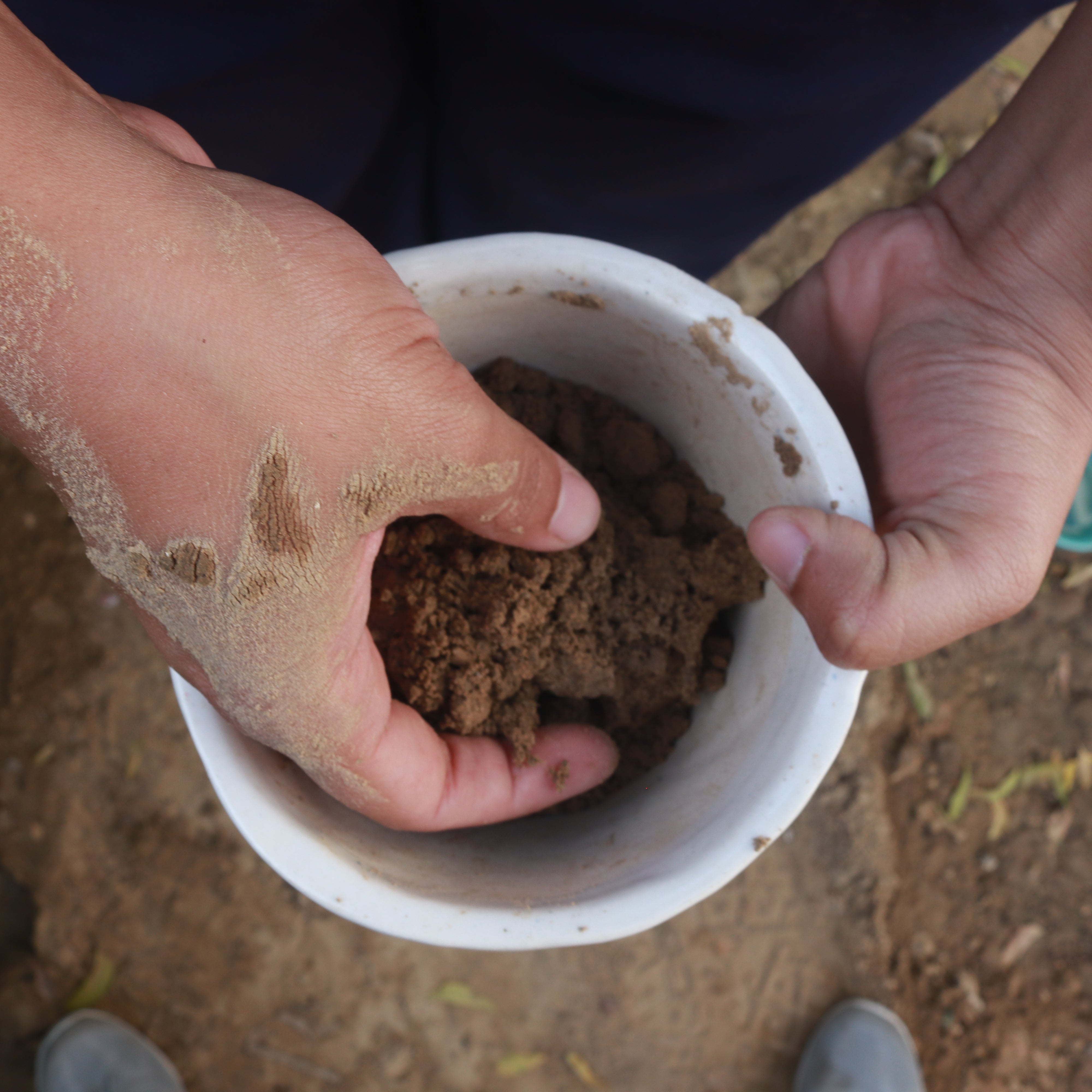 Best way of Soil Preparation!