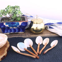 Seashell Neemwood Spoon (Set of 6)